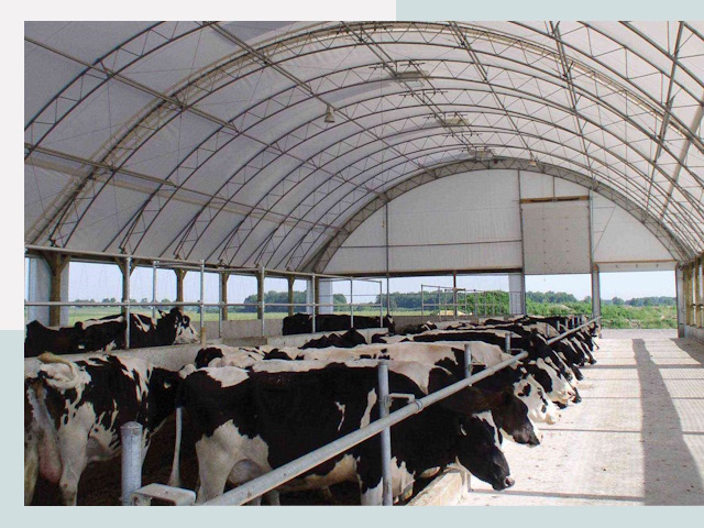 Тентовые коровники в Дзержинске